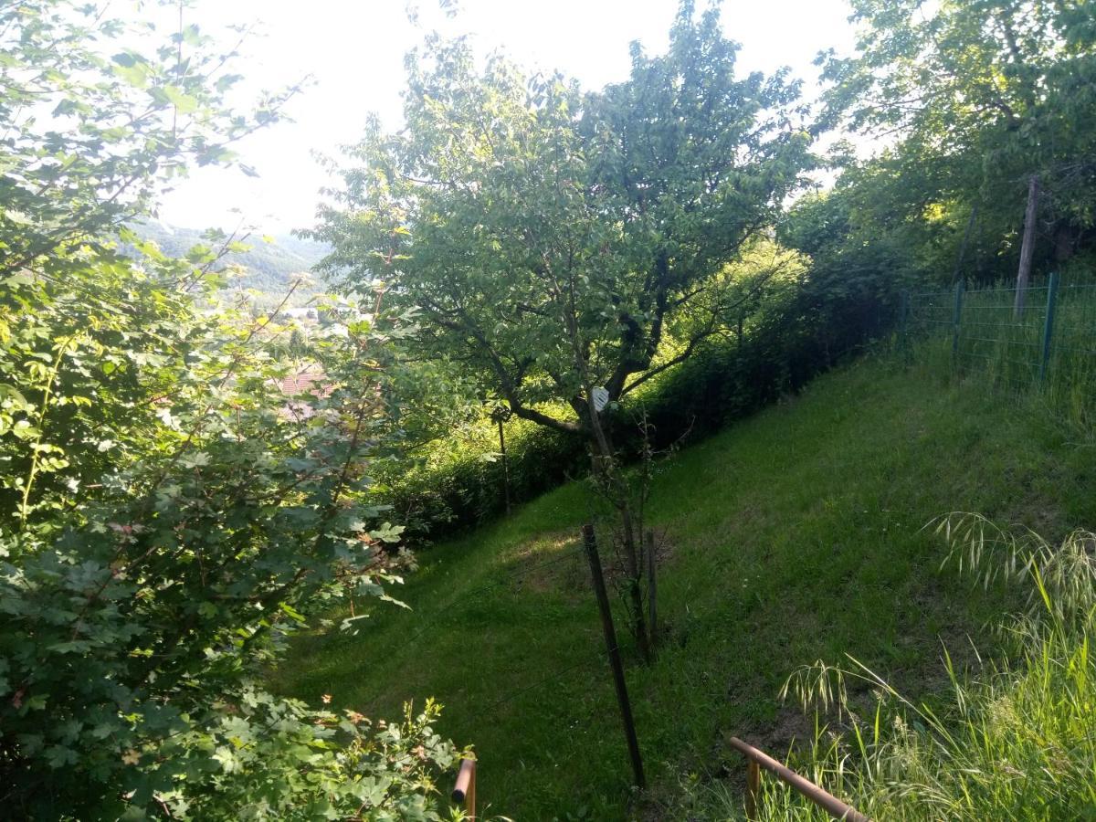 V4 Kilatoterasz Apartmanok Foeldszint Nagymaros Exterior photo